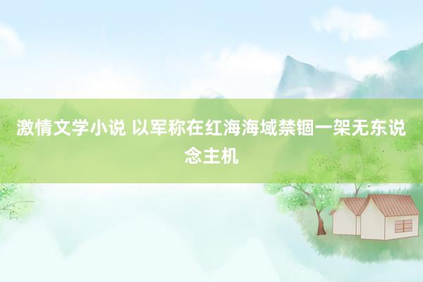 激情文学小说 以军称在红海海域禁锢一架无东说念主机