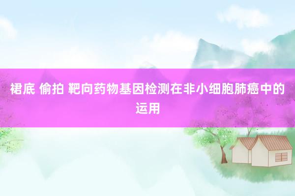 裙底 偷拍 靶向药物基因检测在非小细胞肺癌中的运用