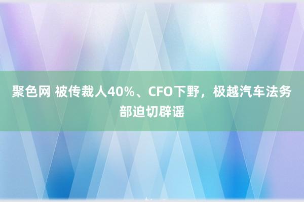 聚色网 被传裁人40%、CFO下野，极越汽车法务部迫切辟谣