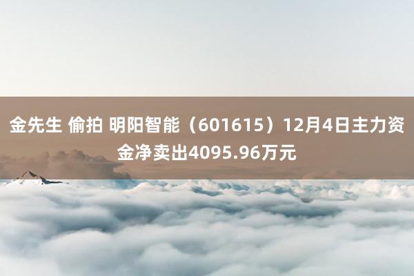 金先生 偷拍 明阳智能（601615）12月4日主力资金净卖出4095.96万元
