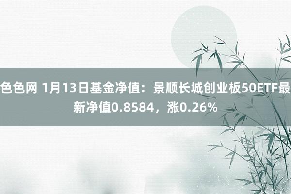 色色网 1月13日基金净值：景顺长城创业板50ETF最新净值0.8584，涨0.26%