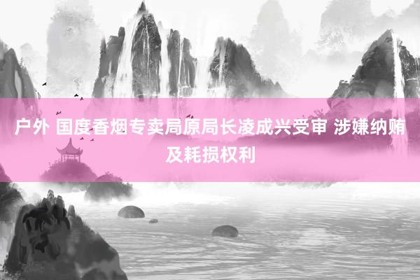 户外 国度香烟专卖局原局长凌成兴受审 涉嫌纳贿及耗损权利