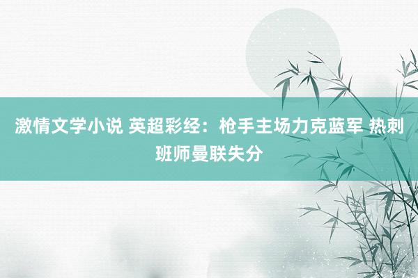 激情文学小说 英超彩经：枪手主场力克蓝军 热刺班师曼联失分
