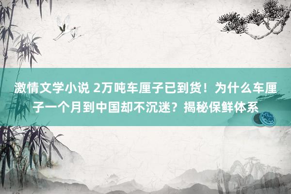 激情文学小说 2万吨车厘子已到货！为什么车厘子一个月到中国却不沉迷？揭秘保鲜体系