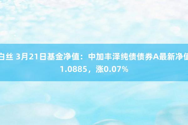白丝 3月21日基金净值：中加丰泽纯债债券A最新净值1.0885，涨0.07%